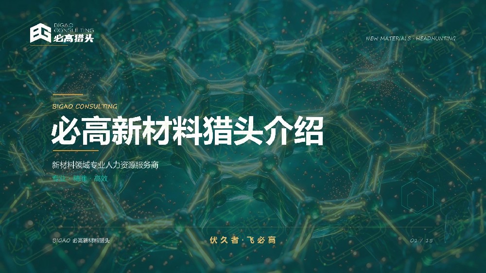 必高新材料猎头简介